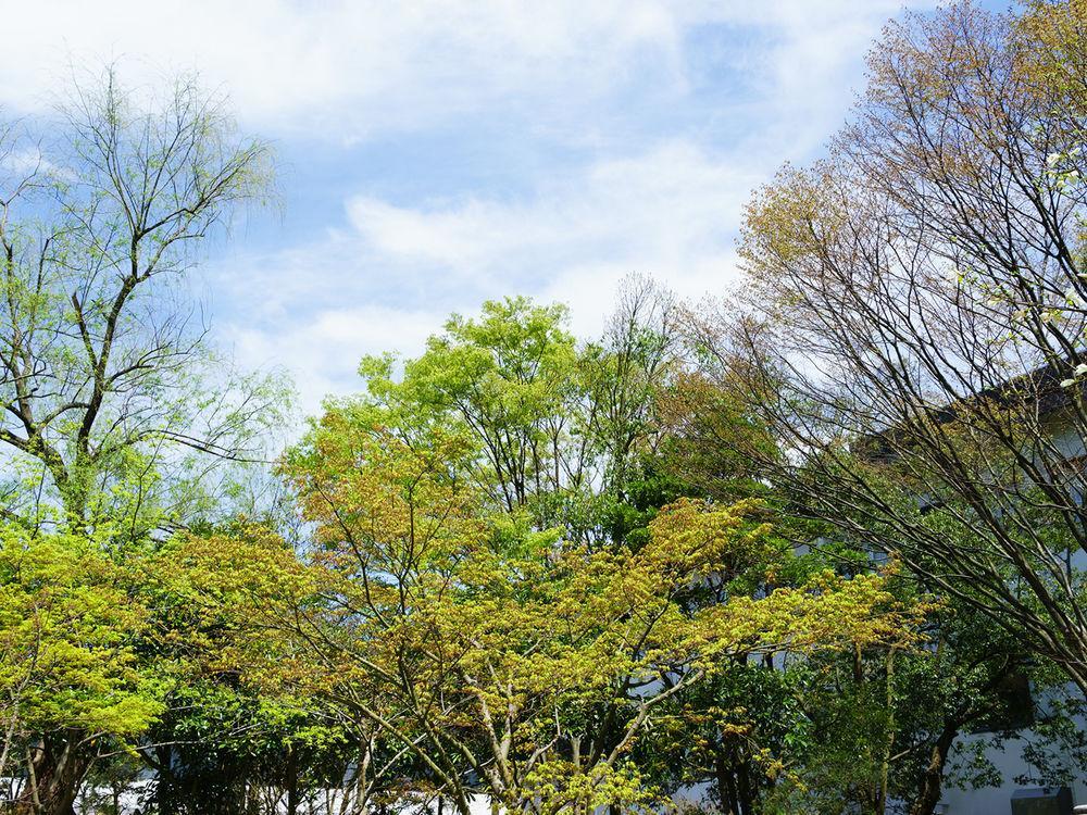 旅館 岩室温泉　ほてる大橋　館の湯